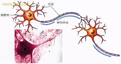 生物農藥與化學農藥 如何科學選擇，這里有深入分析